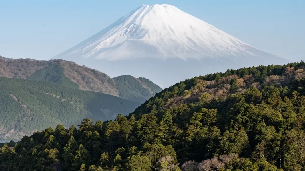 Luxury Onsen Near Tokyo: 5 Relaxing Stays to Compare